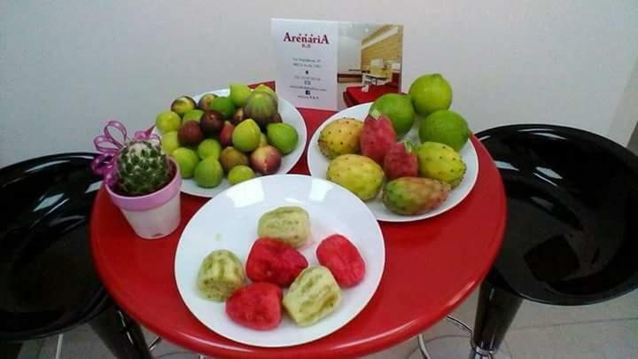 Arenaria B&B 阿沃拉 外观 照片